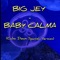 Baby Calma (Calm Down - Spanish Version) artwork