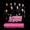 Pasito Meneaito - Single album lyrics, reviews, download