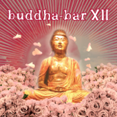 Buddha Bar XII - Buddha Bar