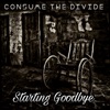 Starting Goodbye - Single