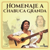 Homenaje a Chabuca Granda artwork