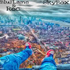 SkyBox Song Lyrics