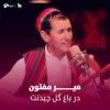 Dar Bagh Gul Chedanat - Single