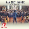 I Can Only Imagine - Single