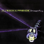 Dragonfly (Airplay Mix) artwork