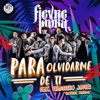 Para Olvidarme de Ti - Single