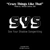 Crazy Things Like That - Single