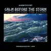 Calm Before the Storm - Single album lyrics, reviews, download