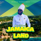 Jamaica Land artwork