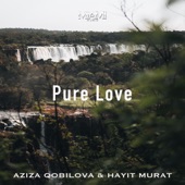 Pure Love artwork