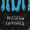 Nothing Compares - Single