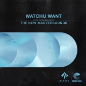 The New Mastersounds - Watchu Want feat. Eddie Roberts