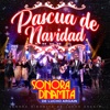 Pascua De Navidad - Single