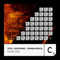 Fuego (VIP) - Single by TCTS, GotSome & Cumbiafrica album reviews, ratings, credits