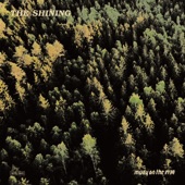 THE SHINING artwork