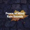 Peace of Mind Rain Sounds album lyrics, reviews, download