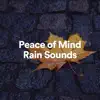 Stream & download Peace of Mind Rain Sounds