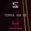 Torna Am Mi - Single album lyrics, reviews, download