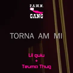 Torna Am Mi - Single by P.A.W.N. Gang, Lil Guiu & Teuma Thug album reviews, ratings, credits