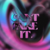 Can't Fake It artwork