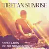 Stream & download Tibetan Sunrise: Healing Sound Bath with Tibetan Singing Bowls and Bells for Stimulation of the Nervous System and Release Endorphins