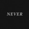 Never artwork