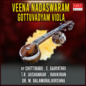 Veena Nadaswaram Gottuvadyam Viola - Various Artists