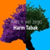 Alles Is Wel Zegd - Single