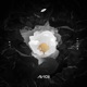 AVICI cover art