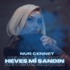 Heves mi Sandın - Single