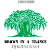 Drown in a Trance album lyrics, reviews, download