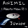 O' Junior - Single