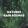 Natures Rain Sounds