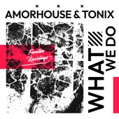 Amorhouse - What We Do