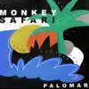 Stream & download Palomar - Single