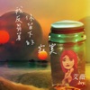 艾薇 - 我反芻著你留下的寂寞