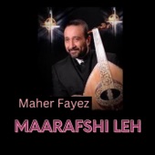 Maarafshi Leh artwork