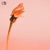Lavender Haze - Sped Up - Single album lyrics, reviews, download