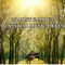 Chopin -  Nocturne op.9 No.2 artwork