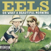 Eels - Feeling Good - Live