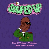 Veteran (Alix Perez Remix) artwork