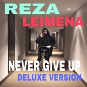 Never Give Up artwork