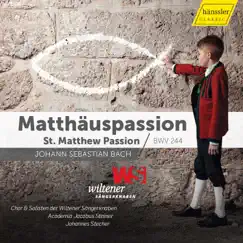J.S. Bach: St. Matthew Passion, BWV 244 by Wiltener Sängerknaben, Academia Jacobus Stainer & Johannes Stecher album reviews, ratings, credits