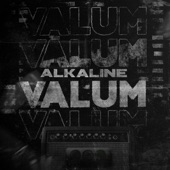 Valum artwork