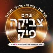 שיר הפרחה artwork