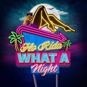 Flo Rida - What A Night - 排舞 音樂