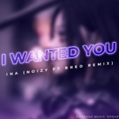 I Wanted You (Remix) artwork