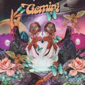 Gemini artwork