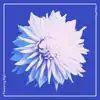 Flowering Night - Single album lyrics, reviews, download