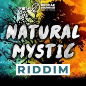 Reggae Drummer Dominik - Natural Mystic Riddim